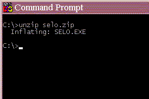 Illustration of use of MS-DOS unzip program